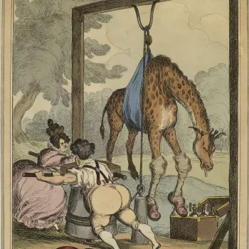 Etching with hand-colouring of George IV and his mistress Lady Conyngham, hoisting an ailing&nbsp;giraffe suspended in a sling. George IV is depicted&nbsp;stripped down to his shirt with rolled sleeves, braces, and breeches, and with his jacket discarded 