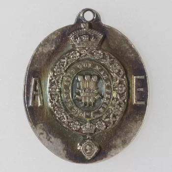1 medal : silver
Obverse: Prince of Wales' plumes within Garter and the chain of the order of the Star of India, dividing A - E
Reverse: H. R. H. / ALBERT EDWARD / PRINCE / OF WALES / INDIA / 1875-6