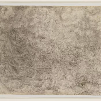 A drawing of a deluge accompanied by a thunderstorm. The great coils of rain swoop down from the left, and above them lightning plays in the sky and lights up the trees on which water-spouts are falling. Melzi&rsquo;s number [14]7 
 
During the last years