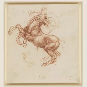 A study of a rearing horse with its head thrown back in at least three alternative positions, and the legs drawn repeatedly to give a sense of thrashing movement. A jumble of lines indicate a rider, perhaps raising his right arm to strike a blow. Below th