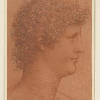 A drawing of the head of a young man turned in profile to the right. He has heavy classical features, and masses of curly hair. Melzi's number 34. 
Early in his career Leonardo fixed on two standard male types, who recur repeatedly in his drawings and pai