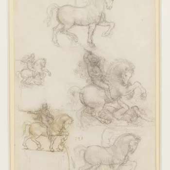 A sheet of five studies of a horse and rider, all full length, and viewed in profile to the right. In two of the studies the horse is rearing, and in three the horse is pacing. Melzi's number 121. 
Late in life Leonardo planned a third equestrian monument
