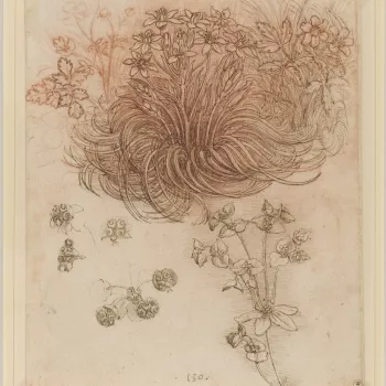 The focus of this drawing is a clump of star-of-Bethlehem (Ornithogalum umbellatum L.), whose swirling leaves are seen in the studies for the kneeling Leda and in most copies of the painting, where it softens the edge of the rock on which the swan stands 