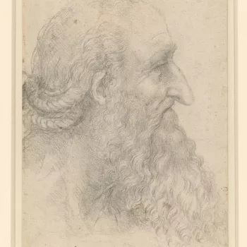 A drawing of the head of an old man, in profile to the right. He has a long&nbsp;pointed nose, a long flowing curly beard and moustache, and hair that seems to be twisted into two plaits. Melzi's number 29. 

The profile here is that of Leonardo&rsquo;s u