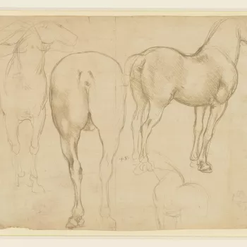 A full-length drawing of a standing horse, facing the viewer; a study of the hind-quarters of a horse, with its back to the spectator; a full-length horse, in profile to the right, turned slightly away from the spectator; a slight sketch of a horse, and a