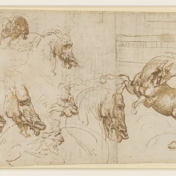 The recto of the sheet is mainly concerned with a comparative study of the expressions of fury in horses, a lion and a man, done as 'background research' towards Leonardo's mural of the Battle of Anghiari.
In early 1503 Leonardo agreed to paint a huge mur