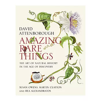 Cover for Amazing Rare Things 