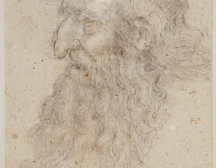 Self portrait of Leonardo da Vinci as an old man