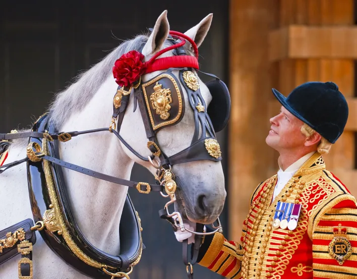 A Coachman and a horse at the Royal Mews, Buckingham Palace