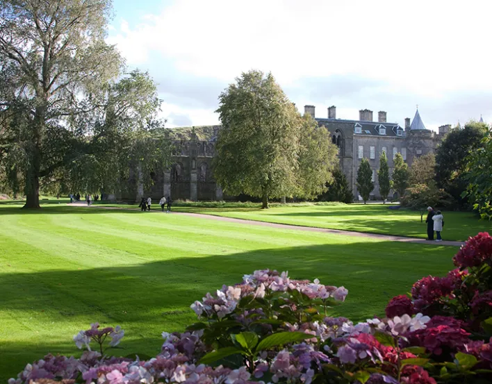 Palace Gardens