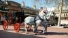 Horses and carriage at the Royal Mews